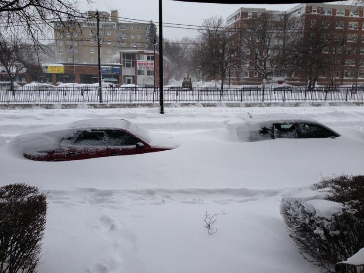 8:54am, Nemo is howling away!