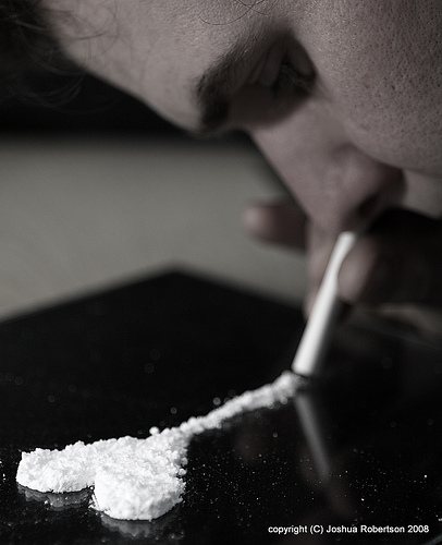 Joshua Robertson, Flickriver