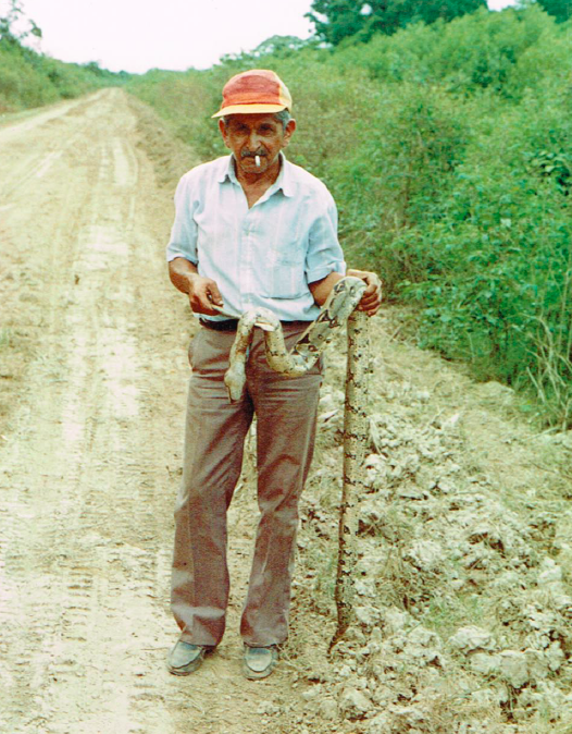 Screen Shot 2016-11-18 at 8.29.10 PM.png